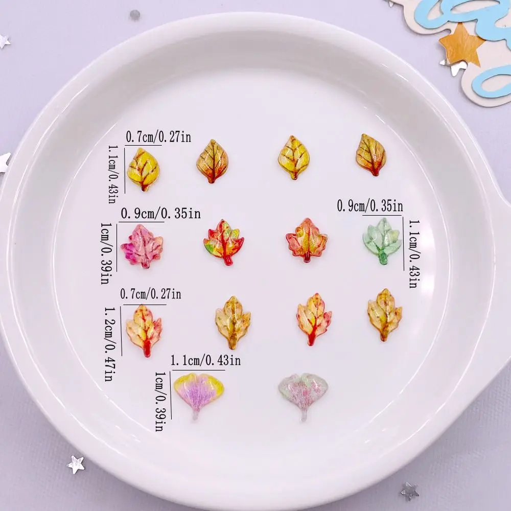 50pcs ผสมเรซิ่นมินิคริสตัล Map - Paradise Jewelry & Watches Dolphin Mall บทวิจารณ์และราคา